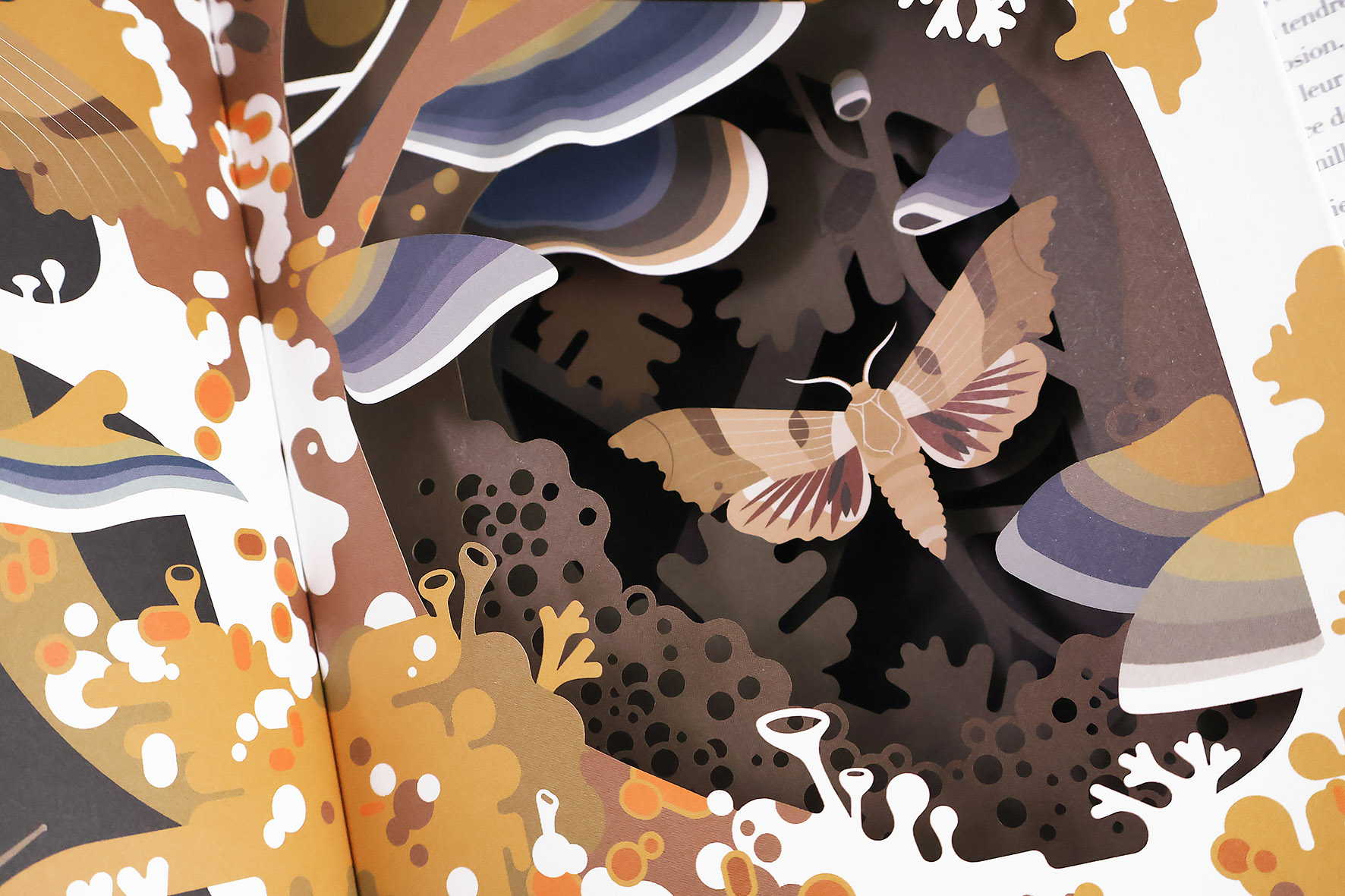 Visuel Dans le secret des feuillages cecile Jacoud Pop up