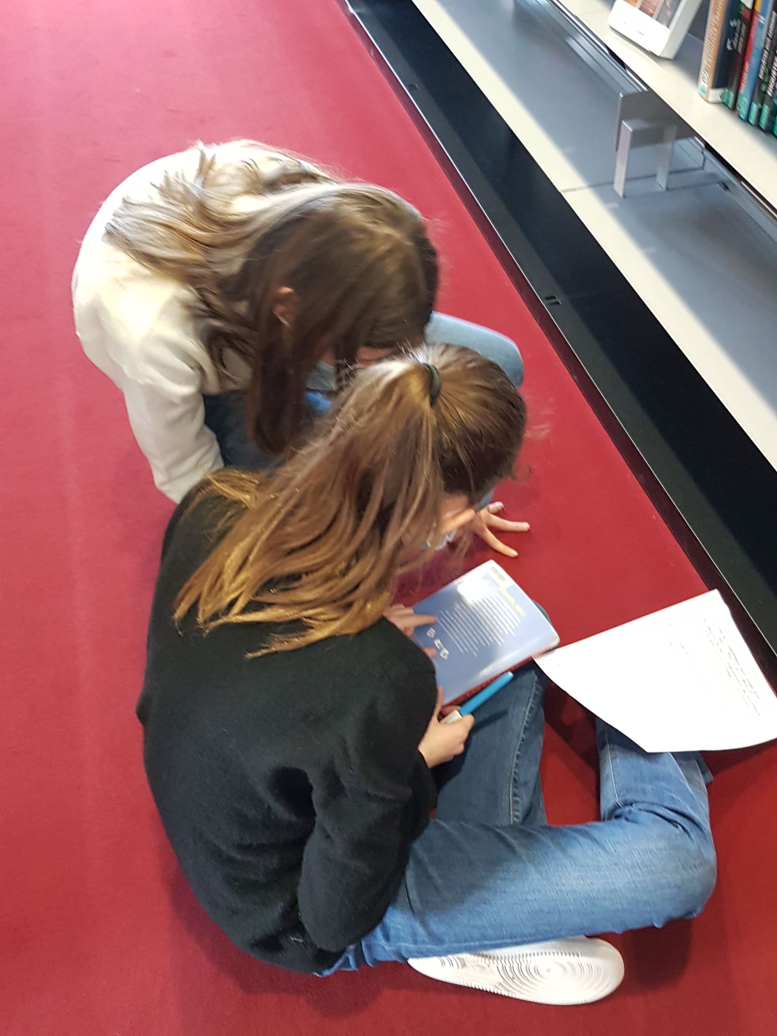 Visite de la bibliothèque